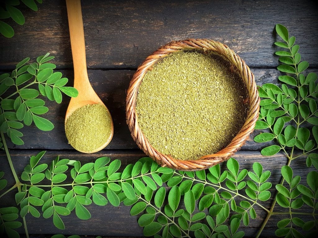 Moringa powder in bowl displaying moringa benefits