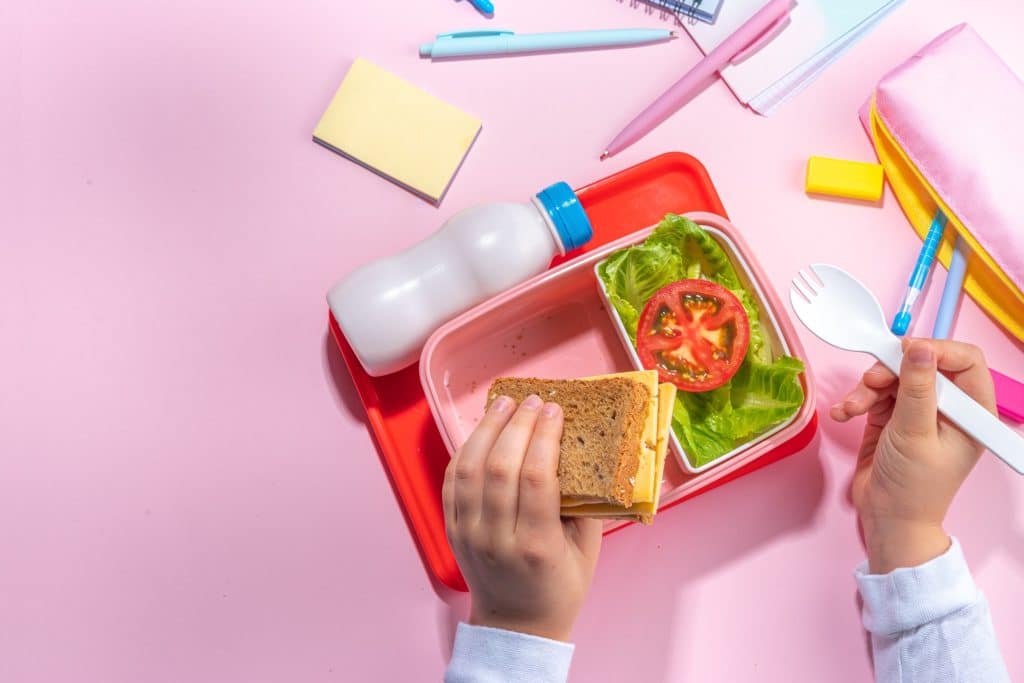 Healthy lunchbox with milk and veggies showing everyday postbiotics gut health benefits