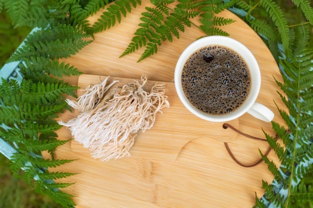 Cup of coffee with functional mushrooms beside it