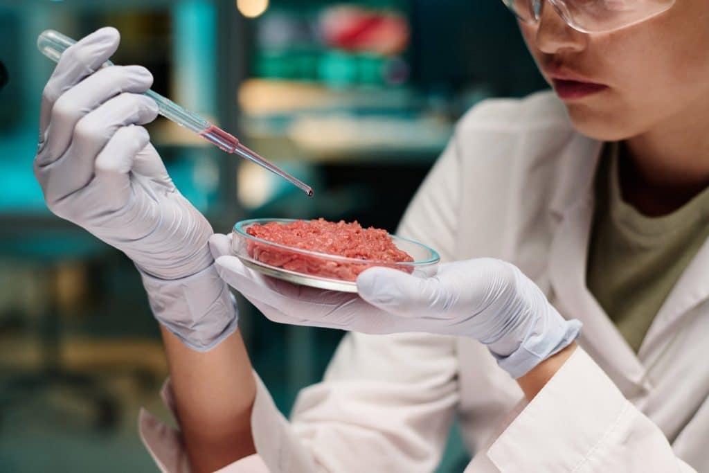 Scientist analyzing lab grown meat in petri dish