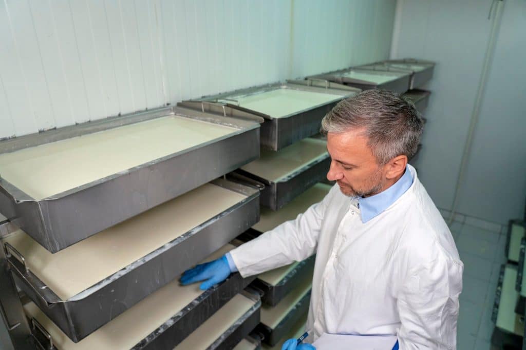 Food scientist checking trays of precision fermentation dairy proteins