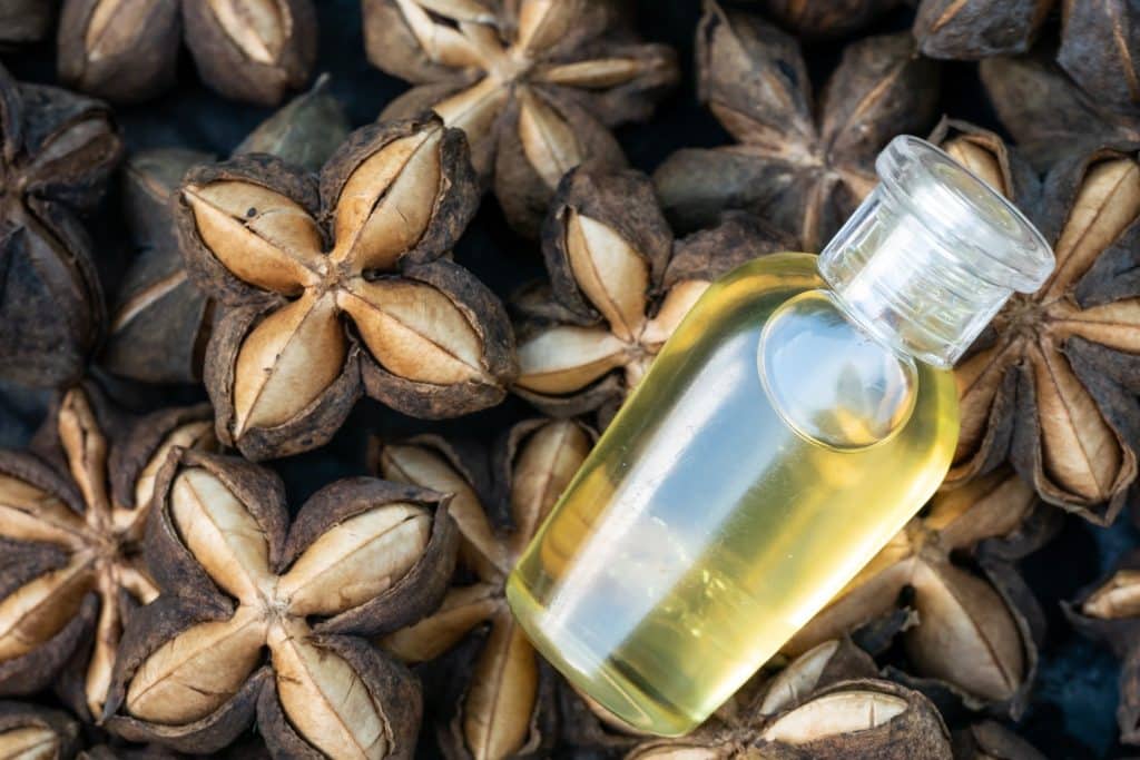 oil bottle and pods showing sacha inchi benefits for health including hair