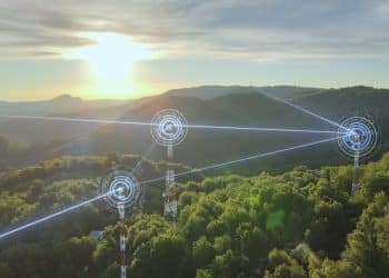 How the Digital Environment Shapes the Way We Think, Work, and Play