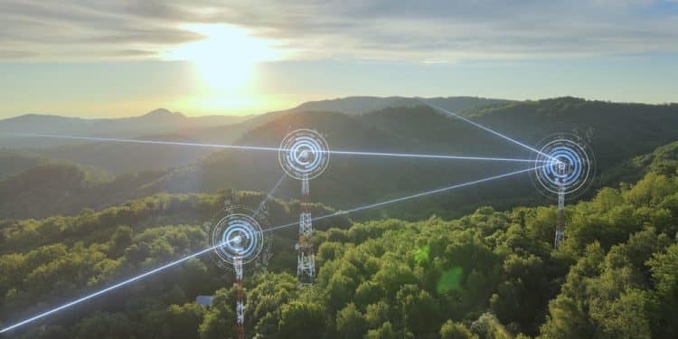 How the Digital Environment Shapes the Way We Think, Work, and Play