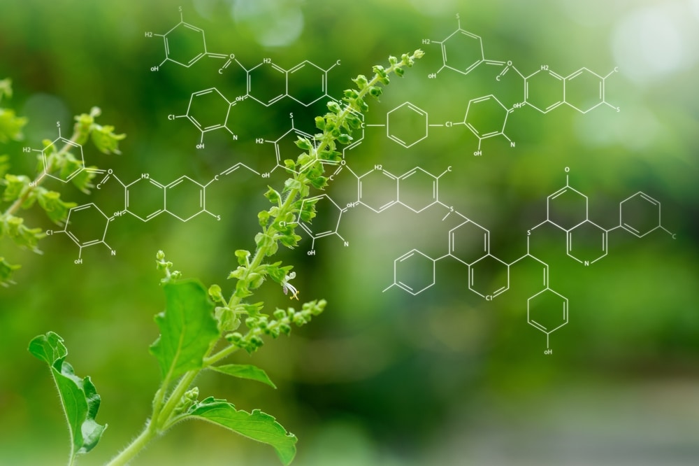 bio-digital interfaces