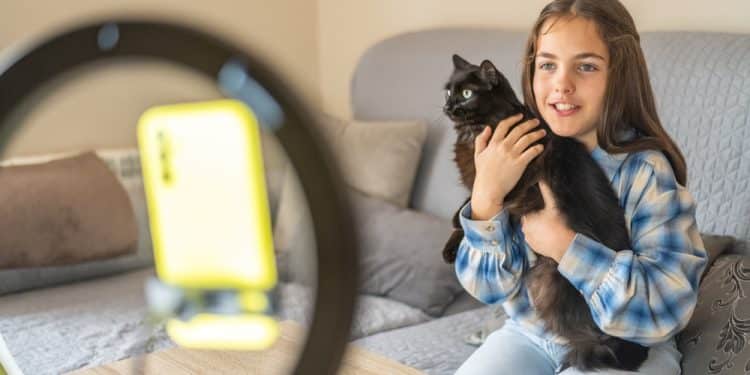 Why Pet Content Outperforms Almost Everything Online