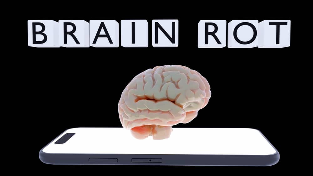 brain rot slang